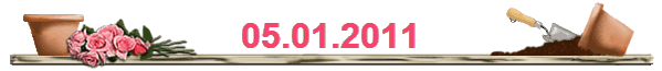 05.01.2011